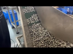 Valve Aerosol đếm Aerosol đếm van một inch nhựa thân đếm van một inch đếm va