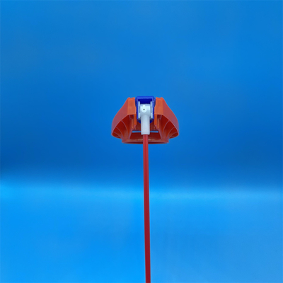 tên