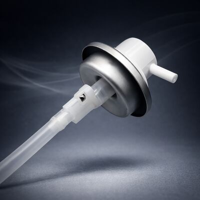tên
