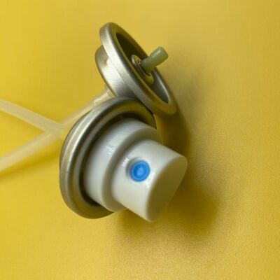 tên